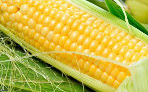 PÁG. 14-1 maíz