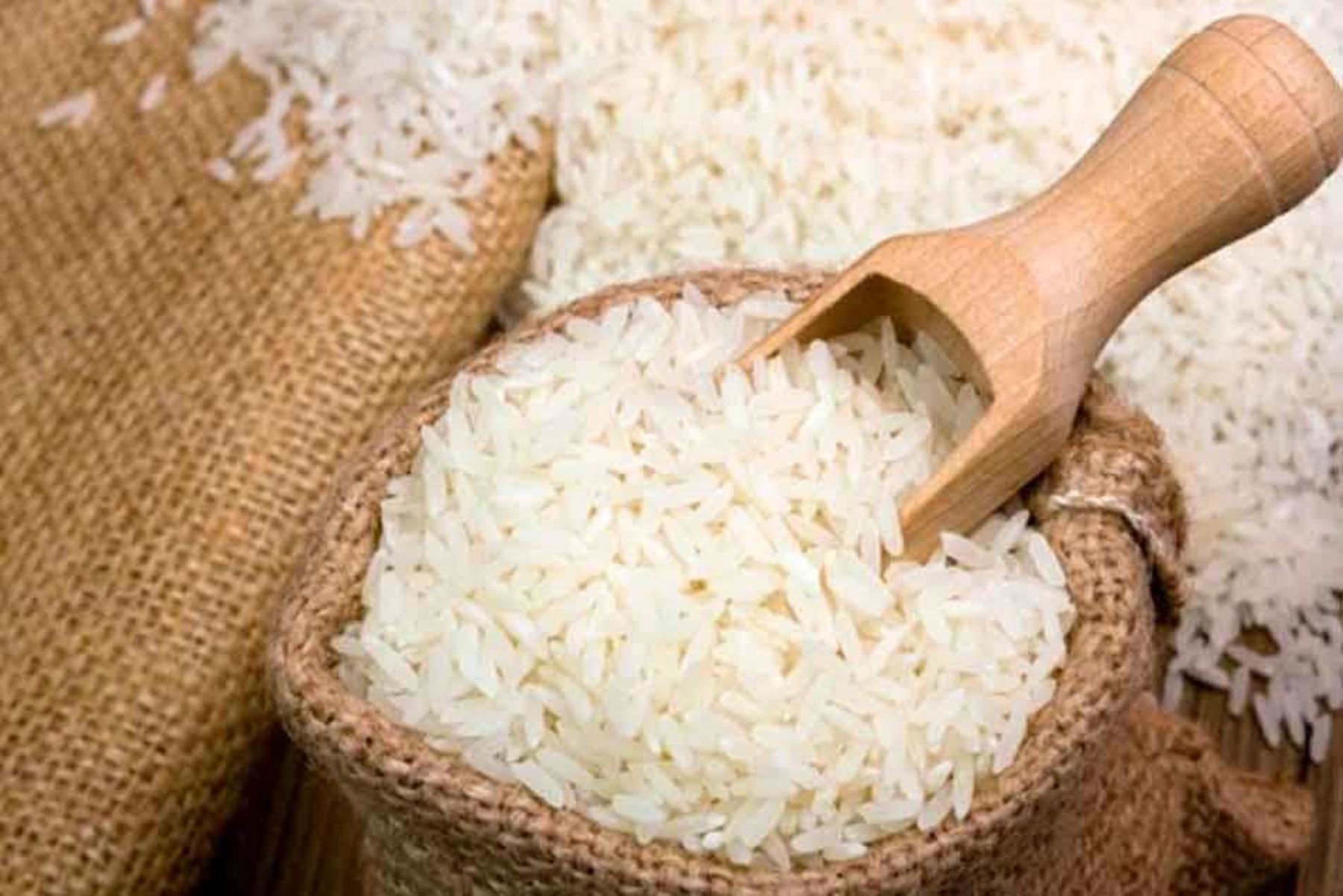 El arroz engorda? Conoce sus beneficios y cómo implementarlo en una dieta  saludable - LA PR1MERA