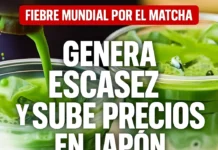 Fiebre mundial por el matcha genera escasez y sube precios en Japón