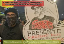 Paro nacional del 14 de noviembre: regiones se suman a la marcha