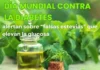 Día Mundial contra la Diabetes: alertan sobre “falsas estevias” que elevan la glucosa