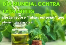 Día Mundial contra la Diabetes: alertan sobre “falsas estevias” que elevan la glucosa