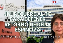 JNJ recurre al TC para detener retorno de Delia Espinoza como fiscal de la Nación
