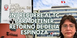 JNJ recurre al TC para detener retorno de Delia Espinoza como fiscal de la Nación