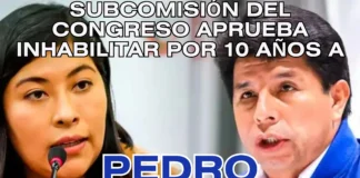 Subcomisión del Congreso aprueba inhabilitar por 10 años a Pedro Castillo y Betssy Chávez