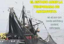 El Estado abre la temporada de anchoveta en el sur con cuota estricta y control reforzado