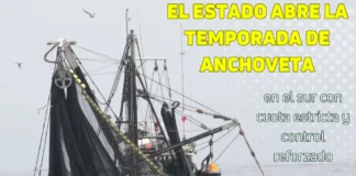 El Estado abre la temporada de anchoveta en el sur con cuota estricta y control reforzado