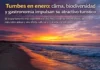 Tumbes en enero: clima, biodiversidad y gastronomía impulsan su atractivo turístico