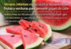 Verano intenso: especialistas recomiendan frutas y verduras para prevenir golpes de calor (VIDEO)
